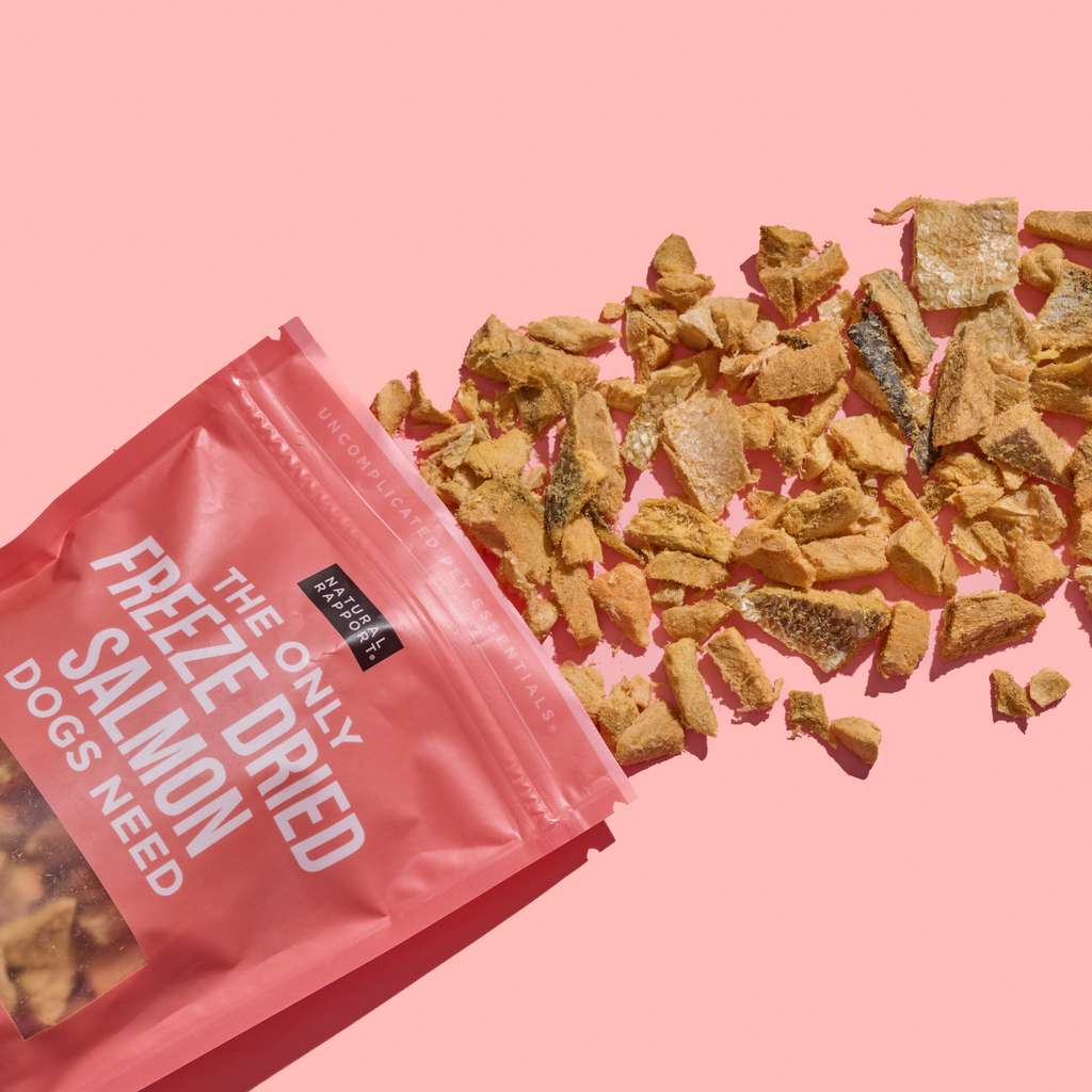 Dog Treat Tasting Flight
