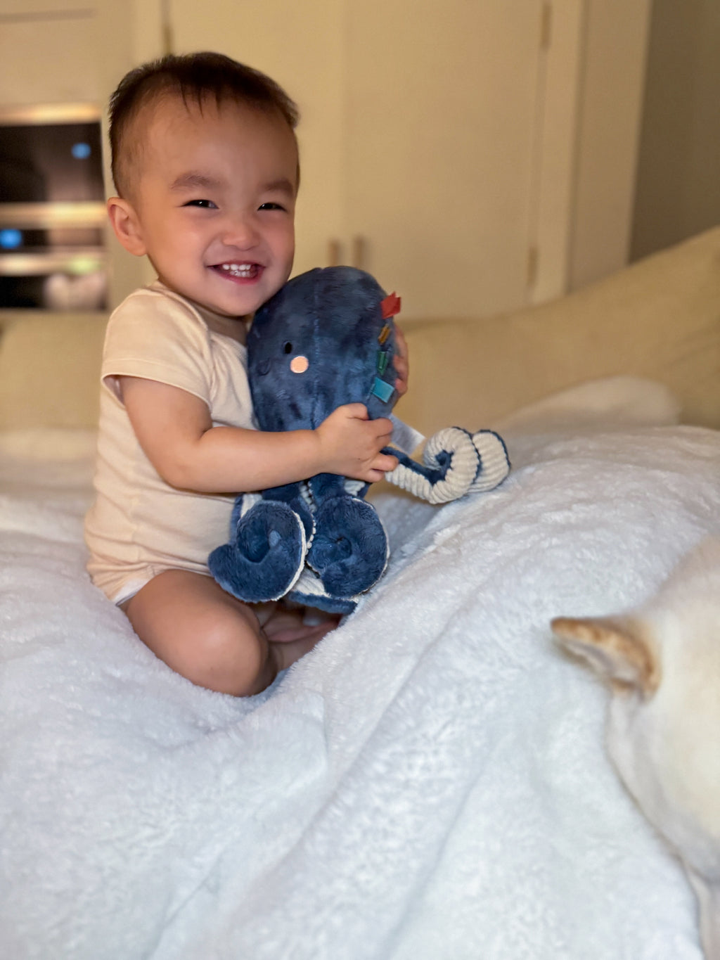 Sweetie Snuggles™ Plush Ollie the Octopus