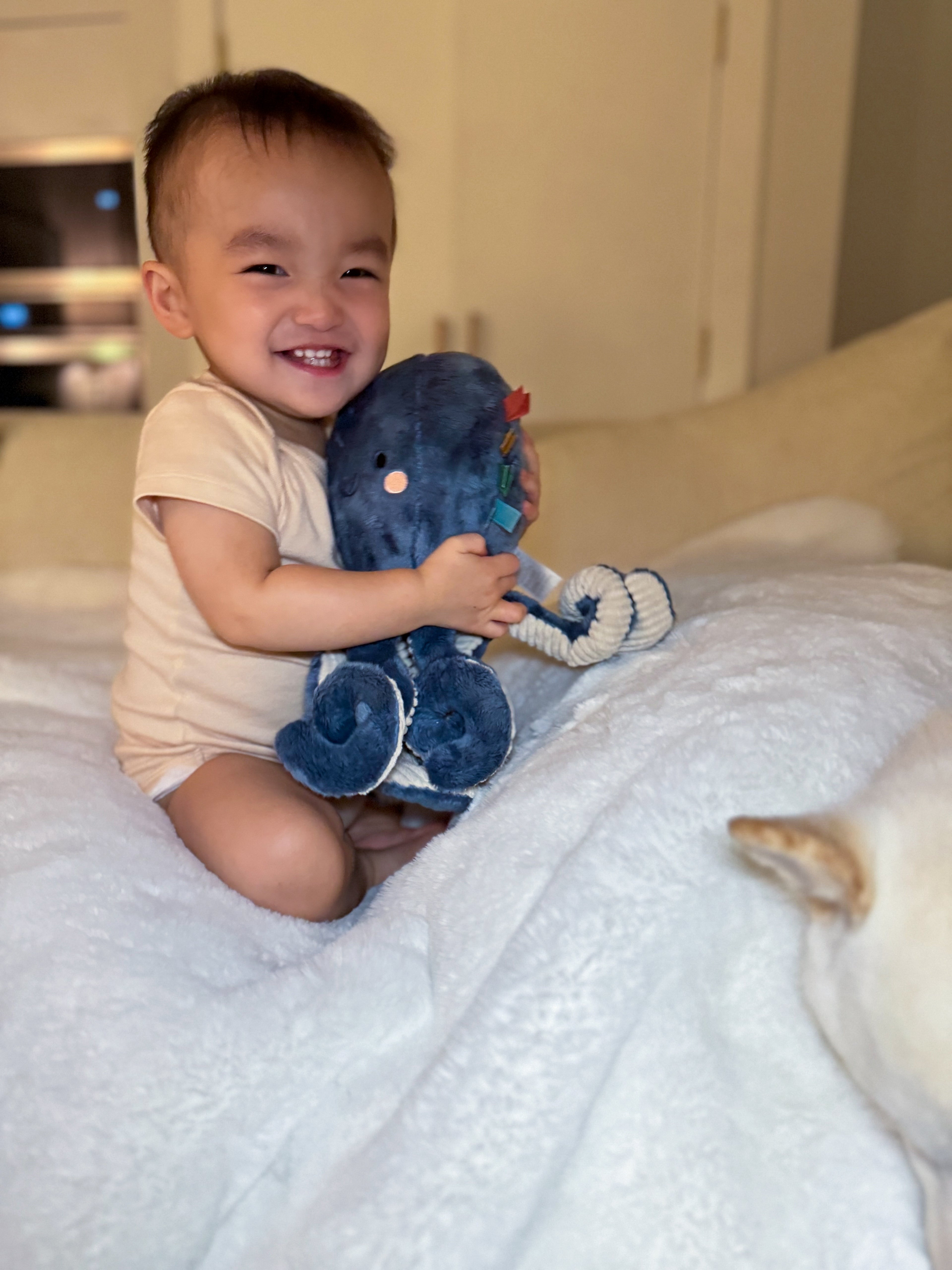 Sweetie Snuggles™ Plush Ollie the Octopus