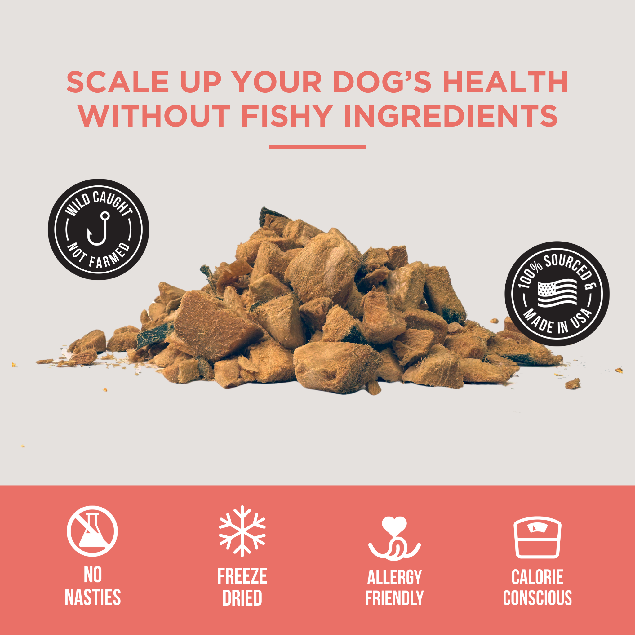 Dog Treat Tasting Flight