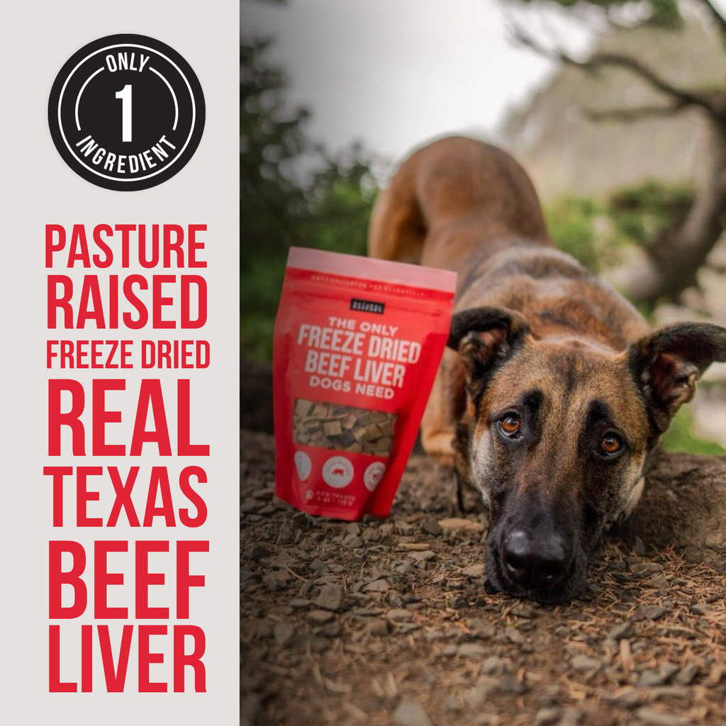 Dog Treat Tasting Flight