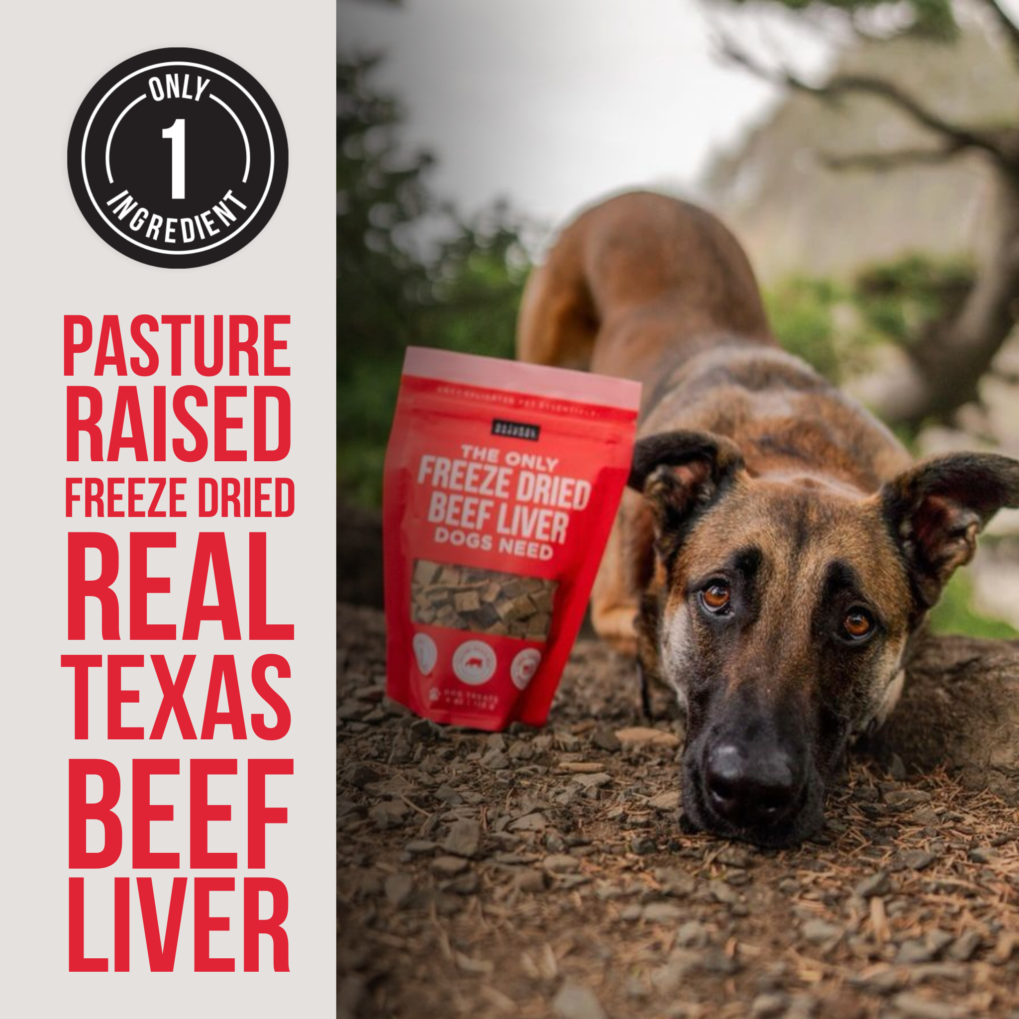 Dog Treat Tasting Flight