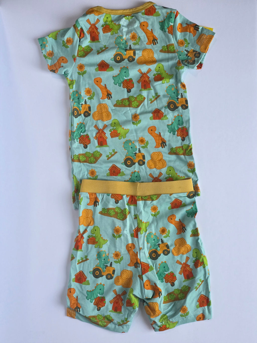 Dinosaur Farm 2 piece set