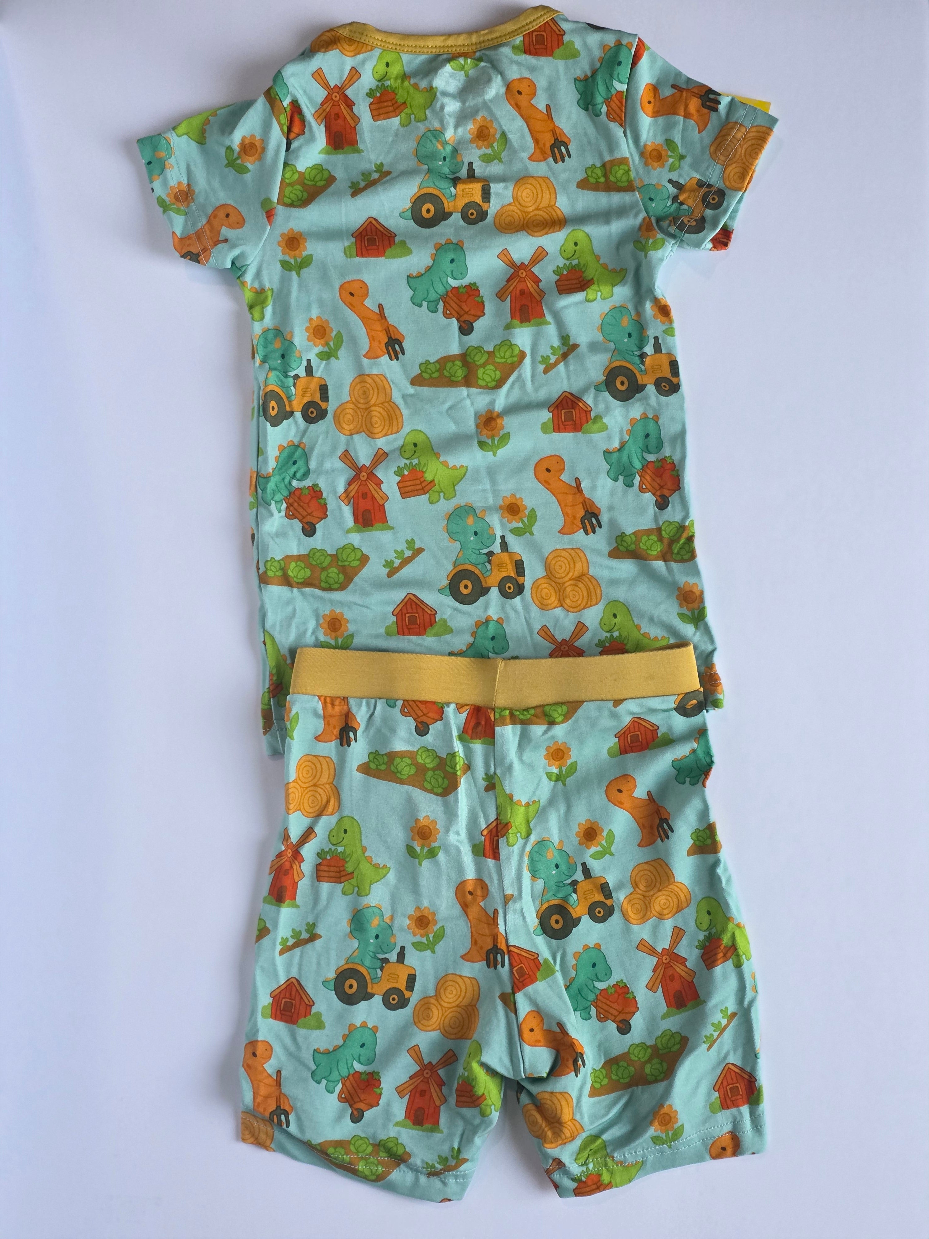 Dinosaur Farm 2 piece set