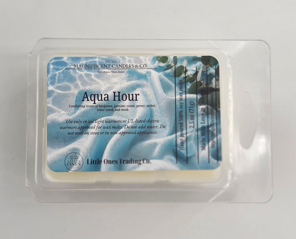 Aqua Hour Soy Wax Melts – 2.5 oz