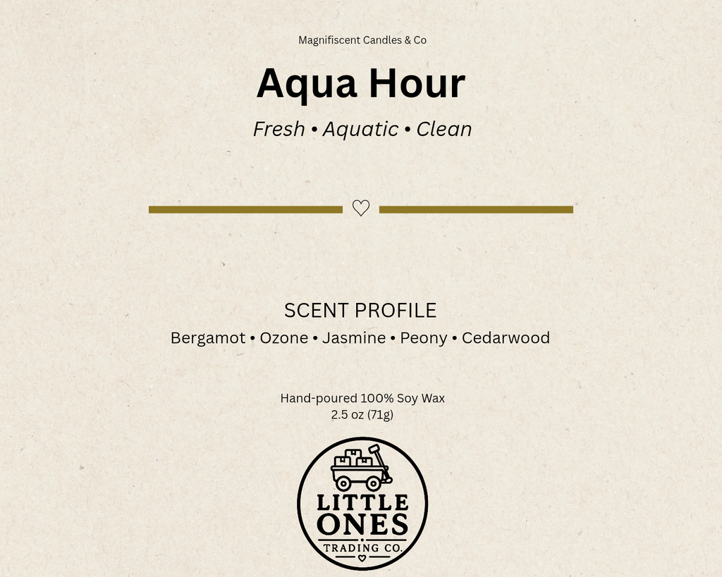 Aqua Hour Soy Wax Melts – 2.5 oz