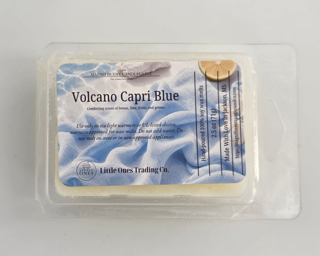 Aqua Hour Soy Wax Melts – 2.5 oz