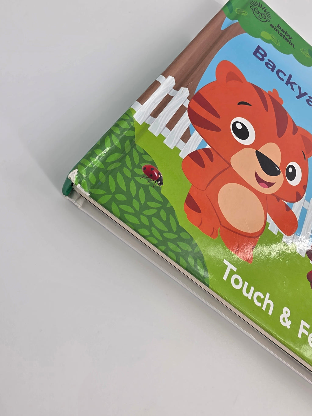 Baby Einstein Backyard All Year Touch & Feel Board Book