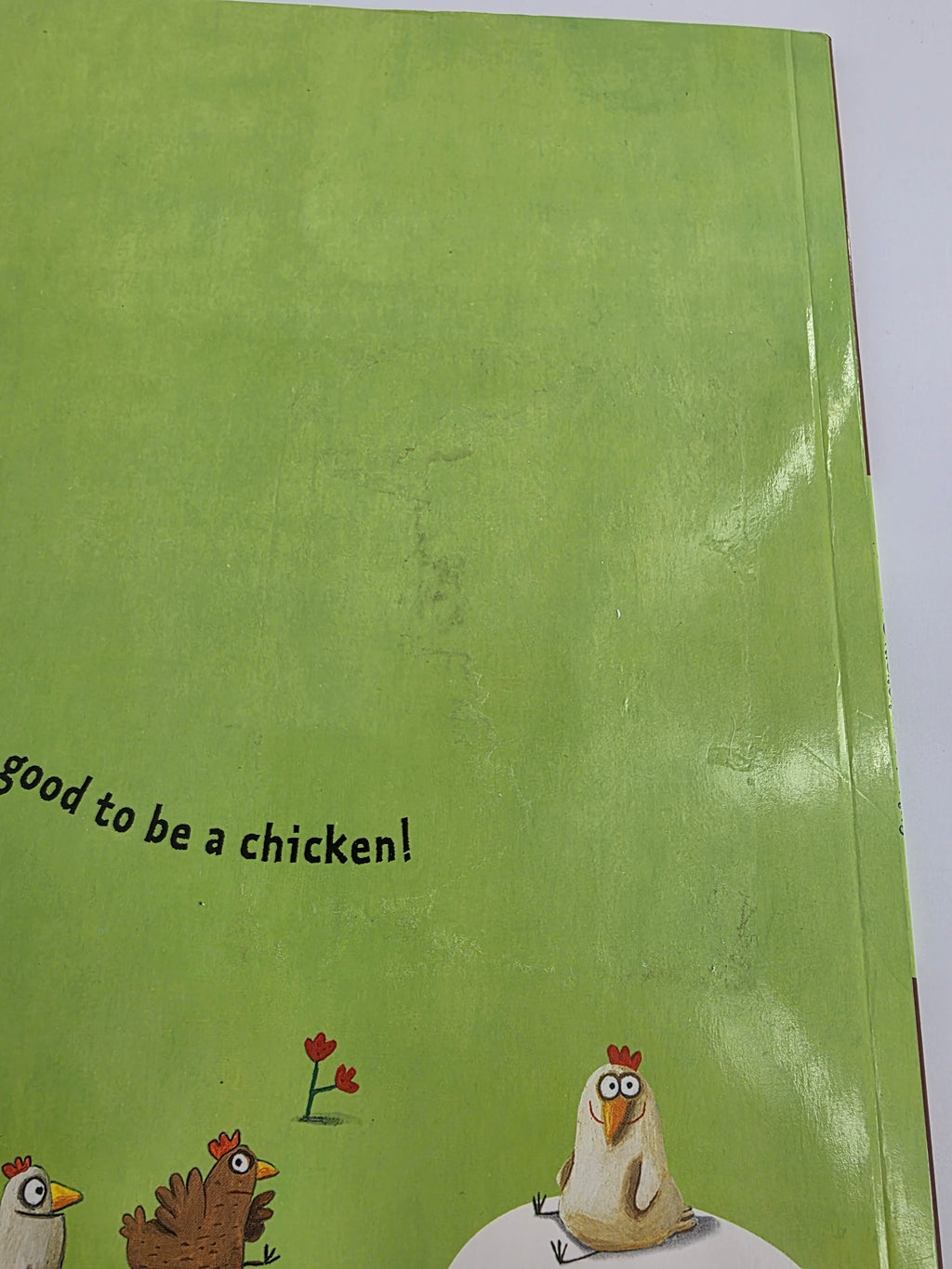 The Chicken of the Family Paperback Book by Mary Amato