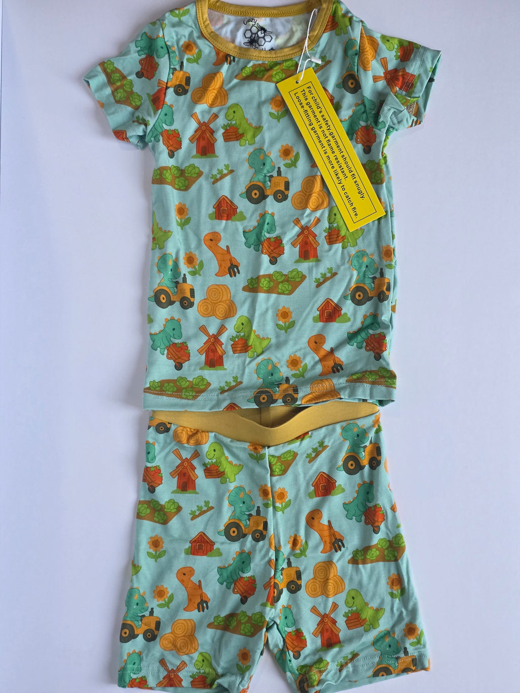 Dinosaur Farm 2 piece set